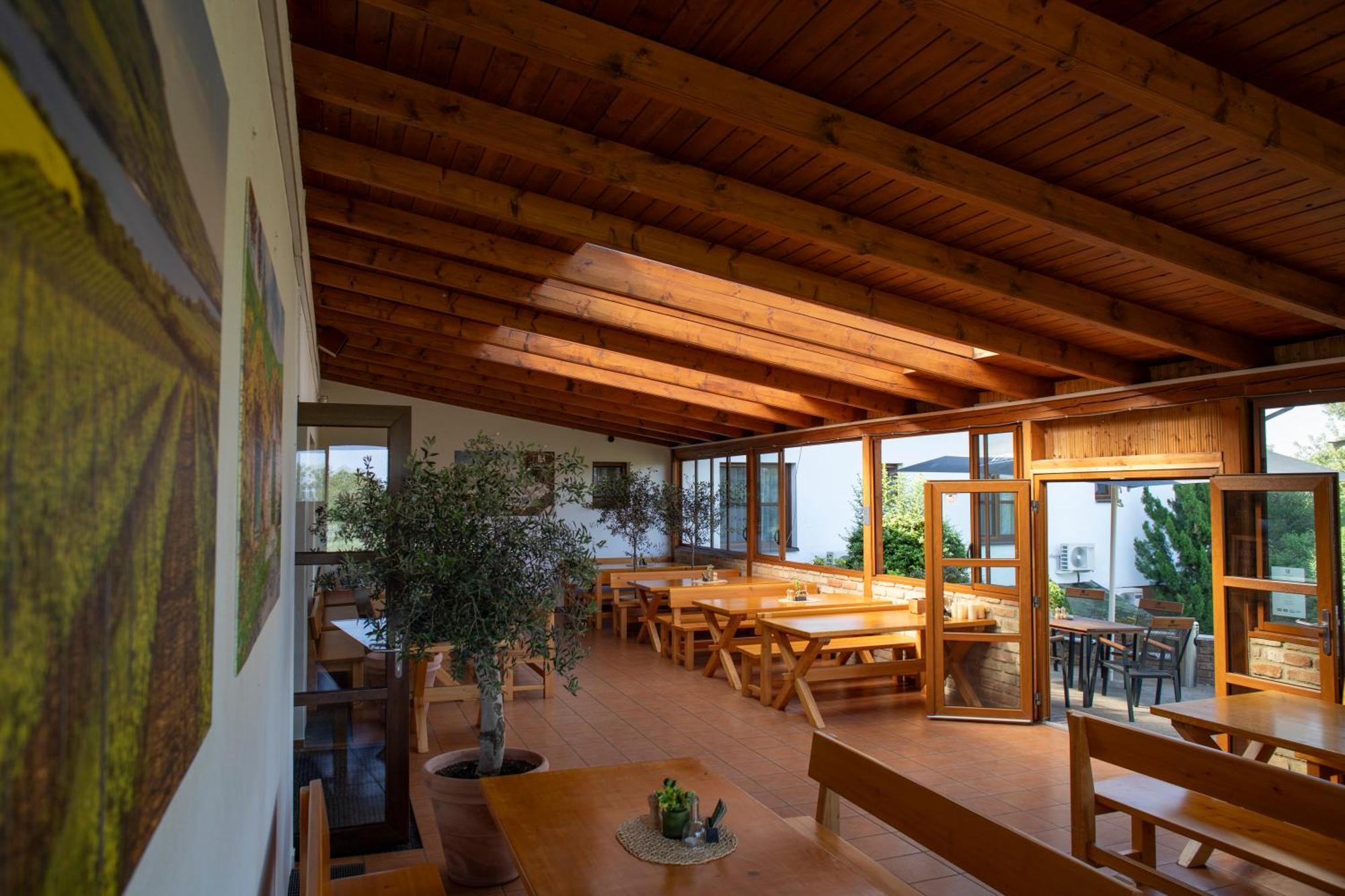 Amenity Penzion Horni Vestonice Exterior photo